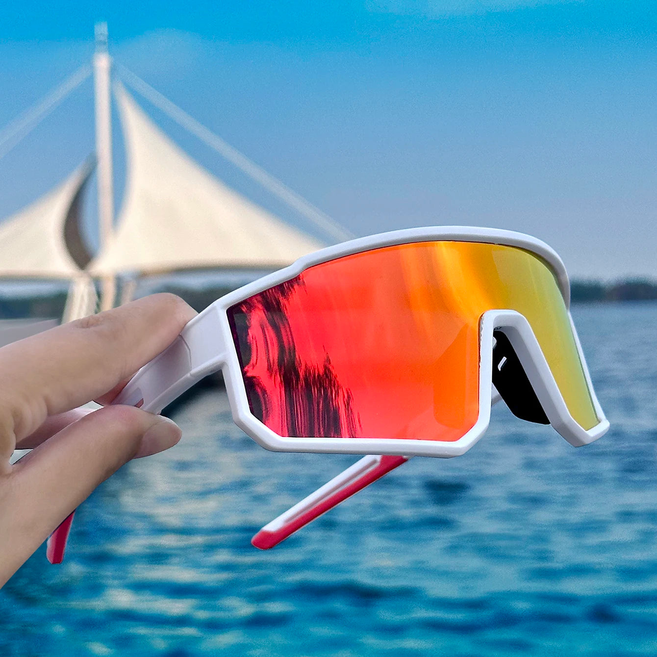 Shield Sunglasses