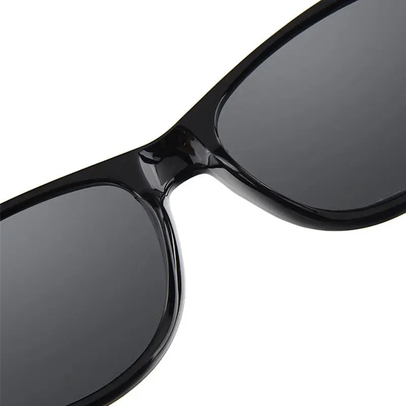 Wayfarer Sunglasses